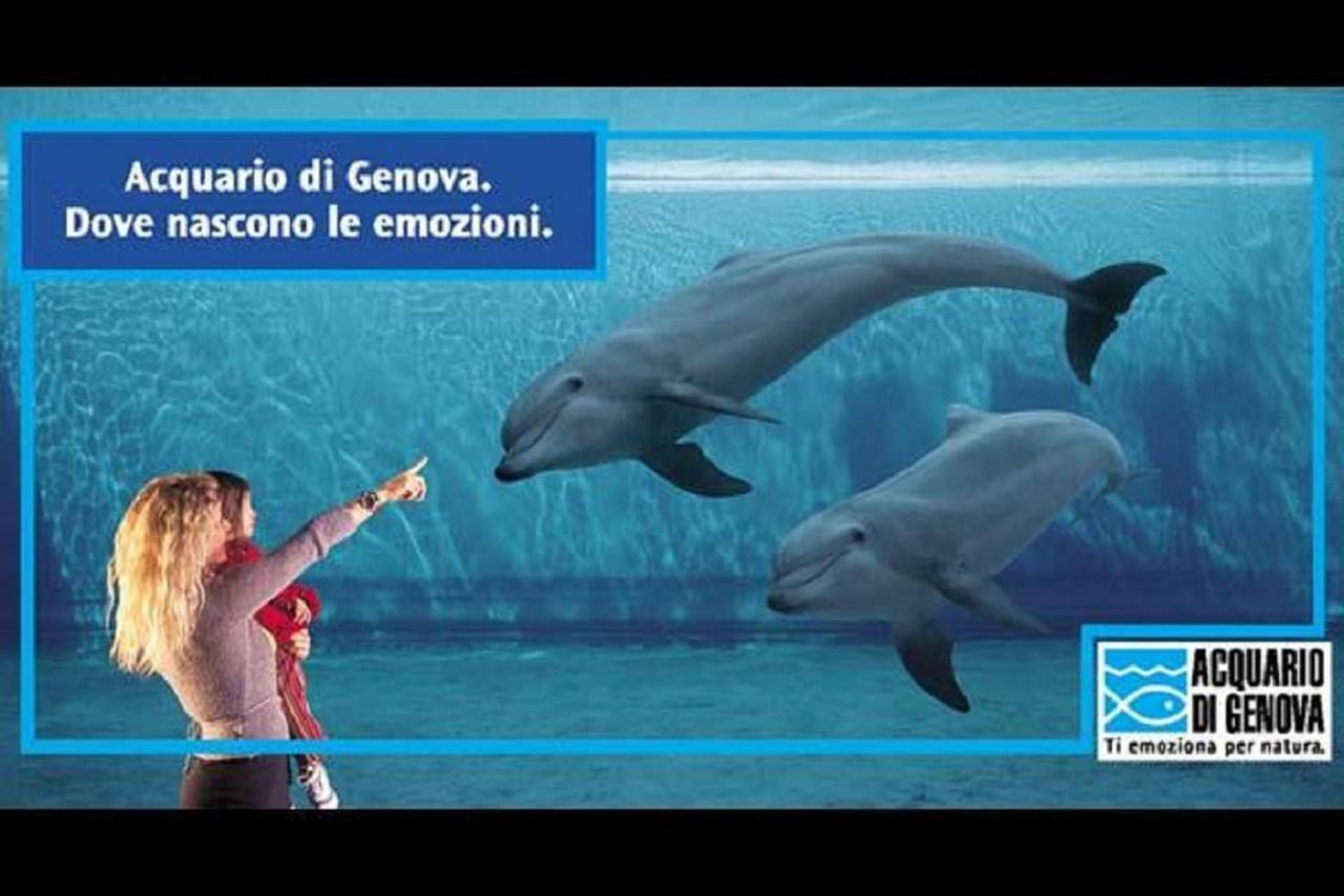Aquarius Génova