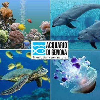 Apartamento Aquarius